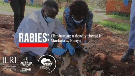 International Livestock Research Institute Ilri On Linkedin Rabies