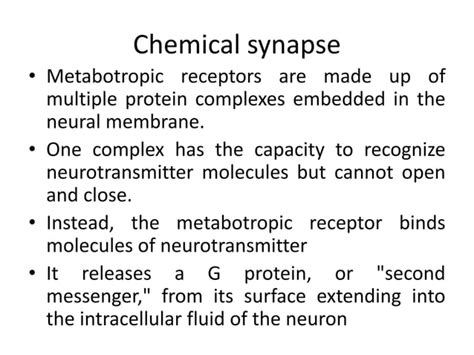 Synaptic integration, Types of synapses, EPSP and IPSP