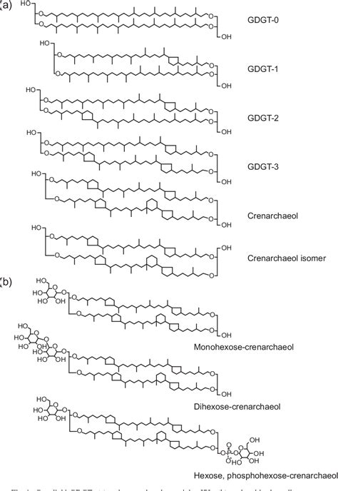 Table 1 From Intact Polar And Core Glycerol Dibiphytanyl Glycerol