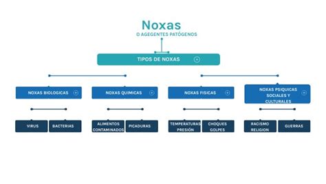 Mapa Conceptual