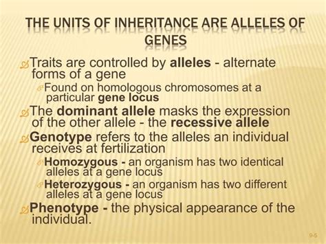 Mendels Laws Of Inheritance Ppt