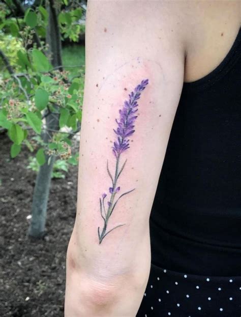 Bedeutung Des Lavendel Tattoos Bedeutung Ideen Fakten Anwendungsorte