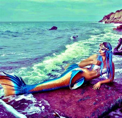 Pin By Melissa Antonucci On Antonucci Mermaid Tail Designs Mermaid