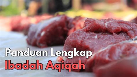 Apa Itu Aqiqah Dan Panduan Lengkap Aqiqah