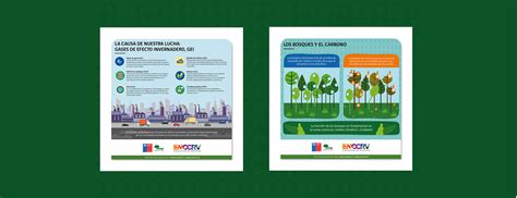 Infograf As Sobre Bosques Y Cambio Clim Tico Conaf Behance