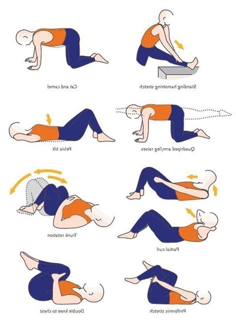 Printable Core Exercises For Seniors