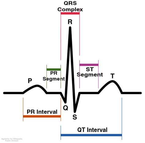 Illustration Of The Electrocardiogram A The Heart Cycle B A Normal