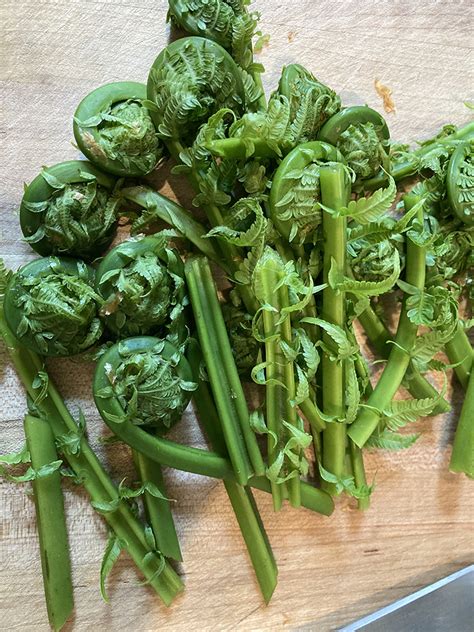 Recipe Sautéed Fiddleheads Open Table