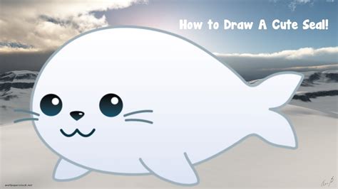 How To Draw A Cute Seal Youtube