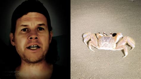 Mark Wahlberg Impression Deepfake Talks With Crab On The Beach Youtube