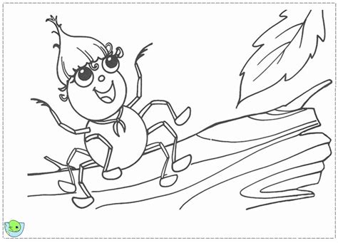 Miss Spider Coloring Pages - Coloring Home