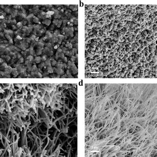 Morphological And Structural Characterizations High Resolution Sem