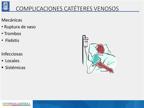 PREVENCION DE INFECCIONES DEL TORRENTE SANGUINEO Ppt Descargar