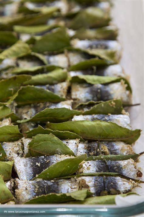 Le Sarde A Beccafico Sono Una Piatto Della Tradizione Siciliana A Base