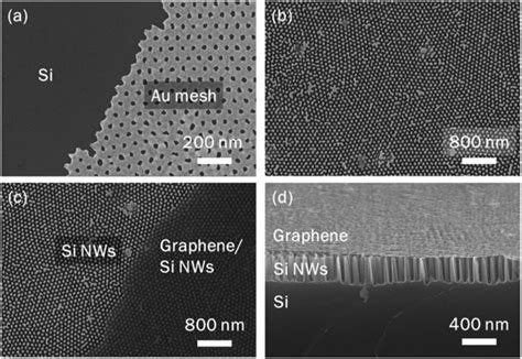 SEM Images At Each Step For Fabricating Of Graphene Si NWs Biosensors