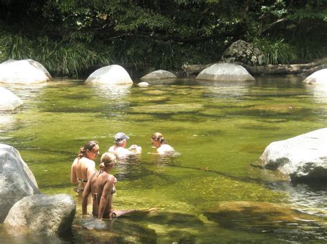 Half Day Tour Daintree River And Mossman Gorge Afternoon Tour Port