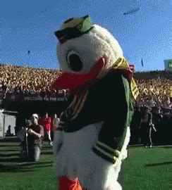 Oregon GIF - Oregon Mascot Duck - Discover & Share GIFs