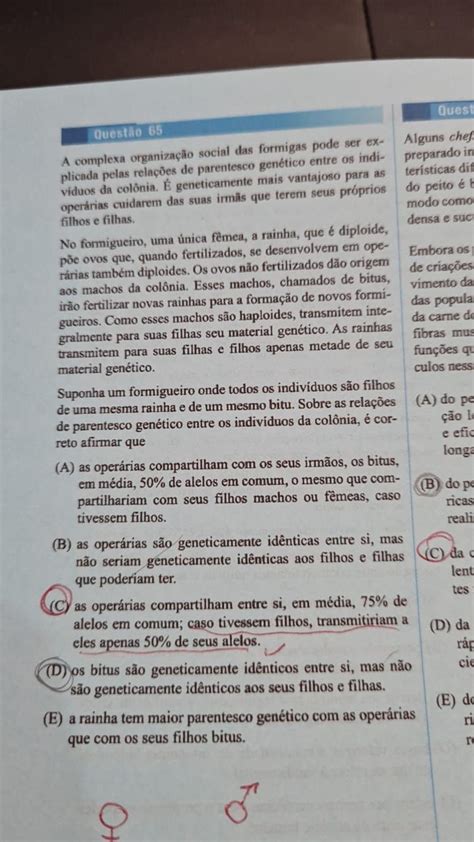 Bom Dia Voc S Poderiam Me Ajudar Nessa Quest O Por Favor Explica