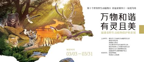 福建开展第十个“世界野生动植物日”宣传活动 图片新闻 福建省林业局