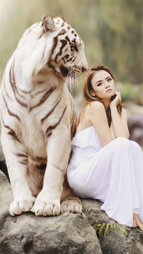 86 White Tiger Hd Wallpaper 4k Images & Pictures - MyWeb