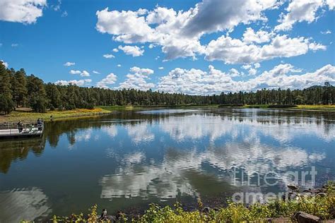 Woodland Lake Pinetop Arizona By Michael Moriarty Arizona