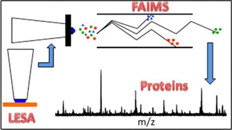 Liquid Extraction Surface Analysis Mass Spectrometry Coupled With Field