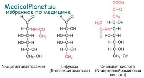 Сиалурия (болезнь накопления сиаловой кислоты) - клиника, диагностика