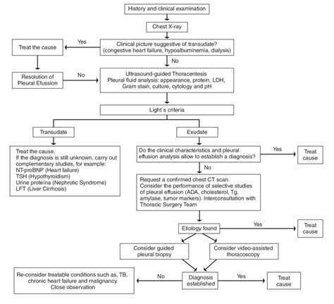 Algorithm Of Diagnostic Approach Of Pleural Effusion Download Scientific Diagram