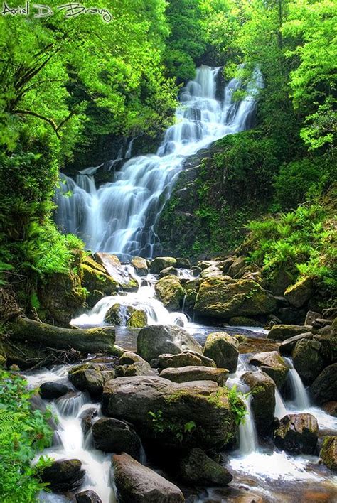 Best 25+ Forest waterfall ideas on Pinterest | State forest near me ...