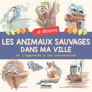 Je D Couvre Les Animaux Sauvages Dans Ma Ville Et J Apprends Les