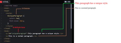 Essential CSS Selectors Understanding Different Types