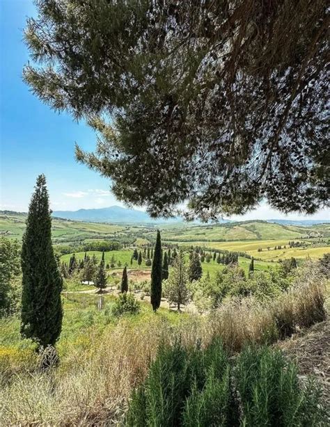 Giro In E Bike Da Montalcino Con Degustazione Di Brunello Holidoit