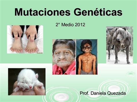 Tipos De Mutaciones Geneticas Dinami