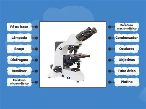 Microscópio ótico composto Labelled diagram