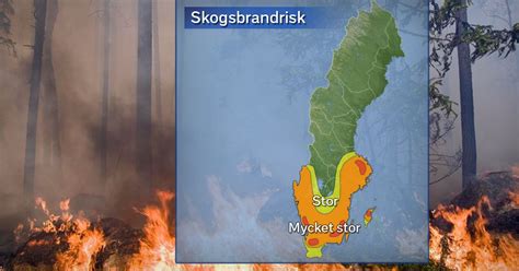 Mycket Stor Risk För Skogsbrand I Hela Länet Svt Nyheter