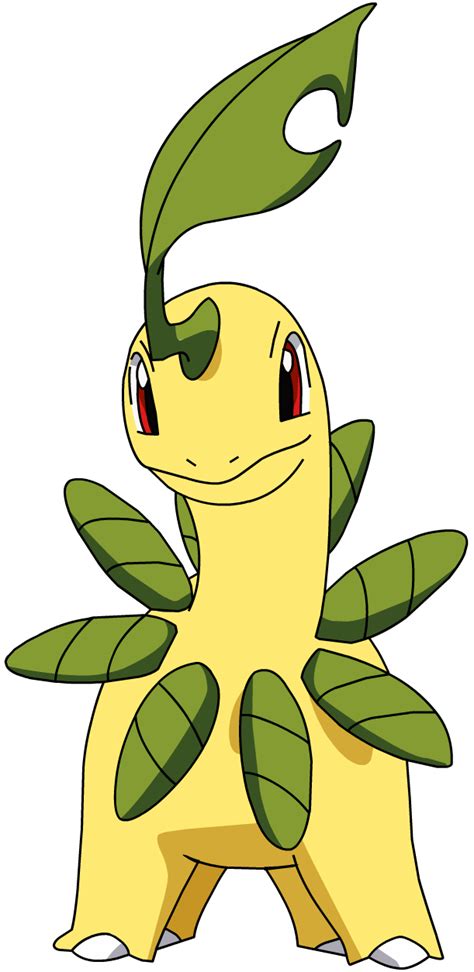 Bayleef Sonic Pokémon Wiki Fandom Powered By Wikia