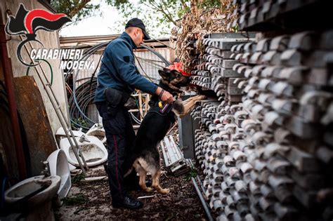 Baby Spacciatori Modena I Capi Della Gang Sono Ferraresi