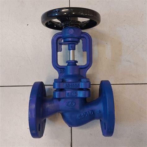 Jual Globe Valve Spirax Sarco 2 12 Inch Pn16 Dn65 High Quality Jakarta Barat Maxindo