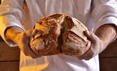 History Buff Bakes Ancient Egyptian Bread Using 1,500-Year-Old Yeast ...