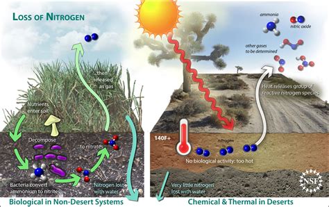 Desert Soil Layers