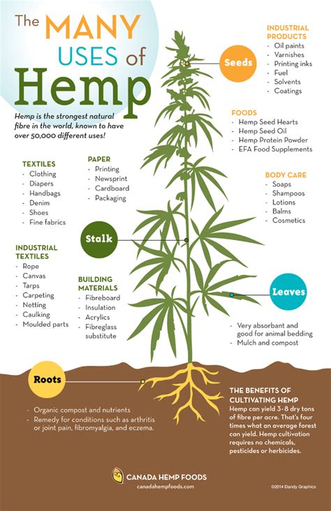 Hemp Infographic National Hemp Association