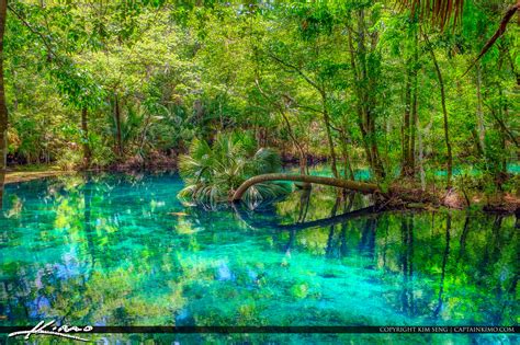 Silver Springs Florida State Park Terry Georgina