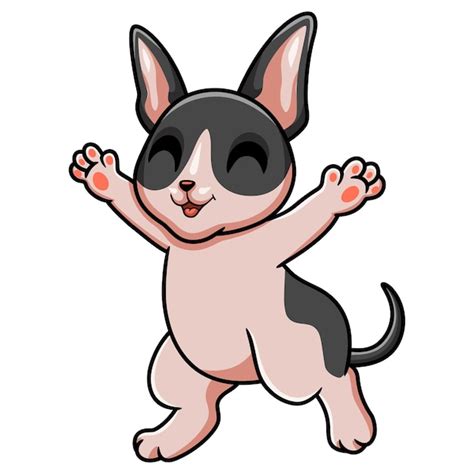 Premium Vector Cute Cat Cornish Rex Cartoon