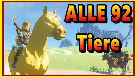 Alle Fundorte Der 92 Tiere Zelda Tears Of The Kingdom Totk YouTube