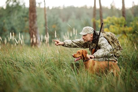The Best Hunting Destinations From Around the World