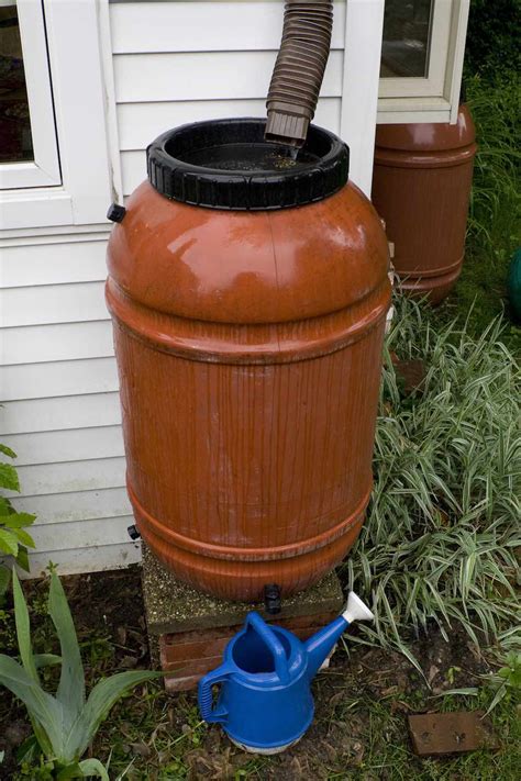 Cómo hacer un sistema de recuperación de agua de lluvia casero con bidones