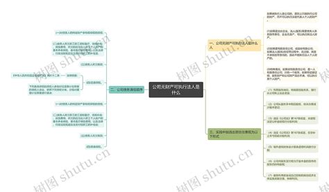 公司无财产可执行法人是什么思维导图编号p7841247 Treemind树图