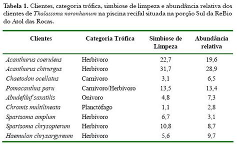 Simbiose De Limpeza De Thalassoma Noronhanum Boulenger