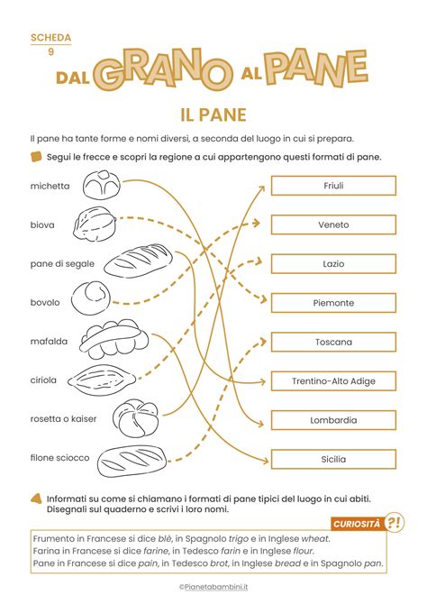 Dal Grano Al Pane Schede Didattiche Per La Scuola Primaria