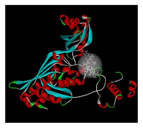 The Interaction Between Alisol A Acetate And Hmg Coa Reductase A